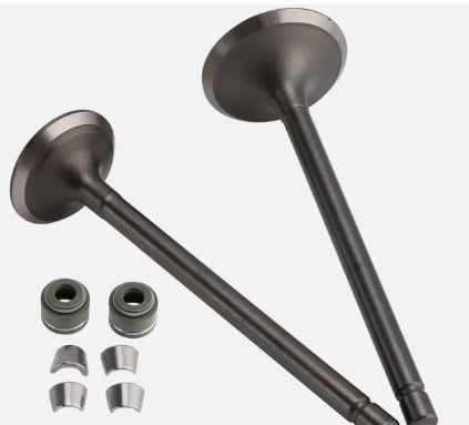 Valves Set – Intake and exhaust