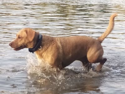 IMG_20240829_183610_konlme