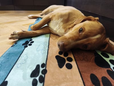 IMG_20250123_111703_gt28rf