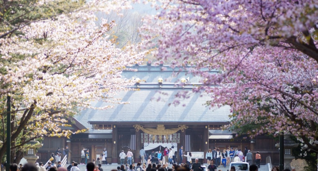 hokkaido-sakura-1024x549