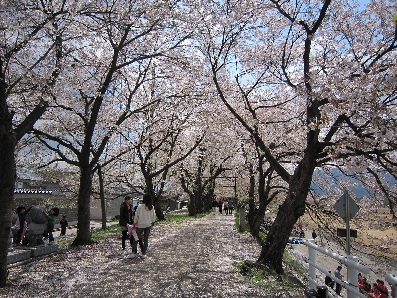 2_image