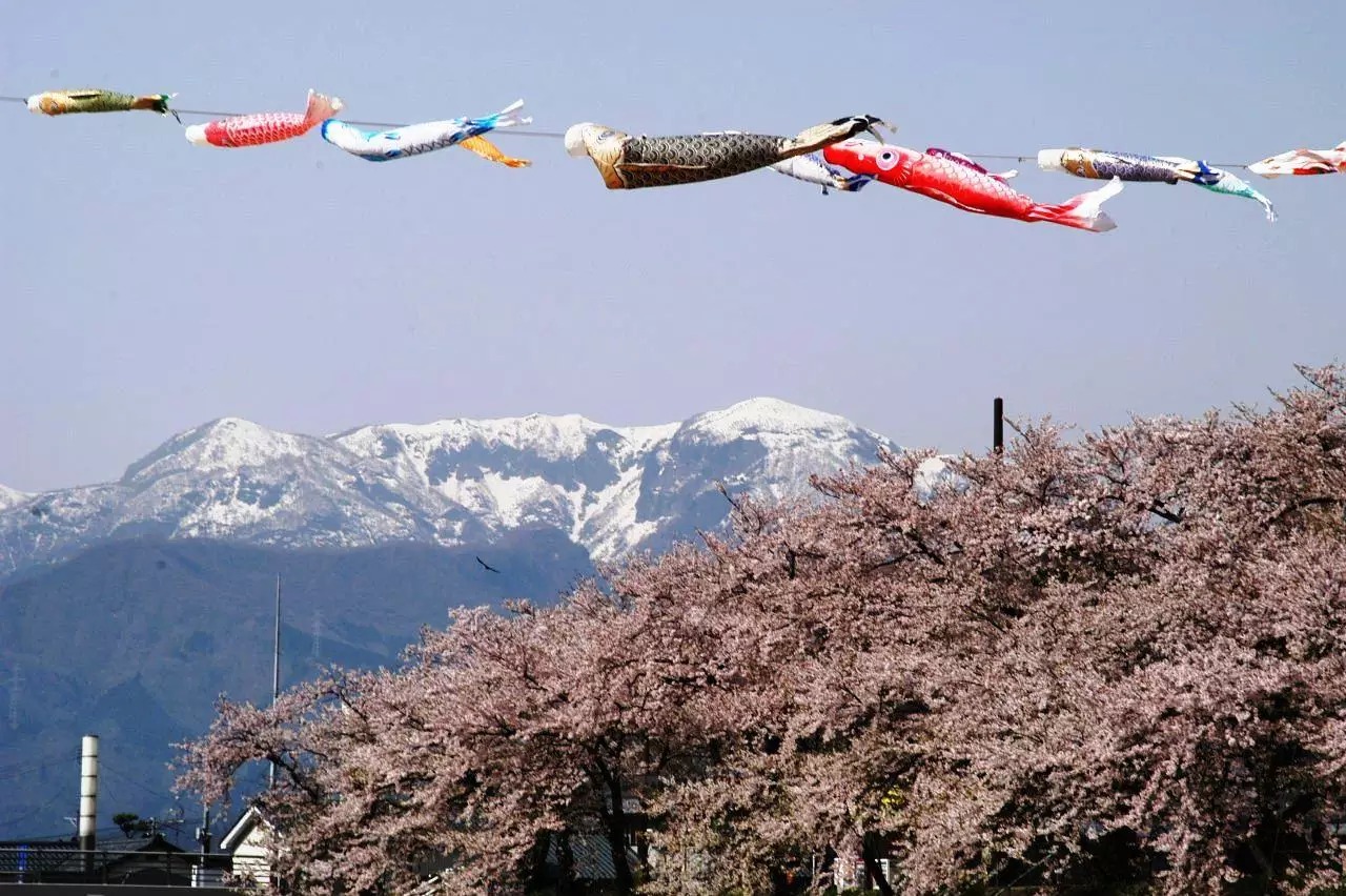3_image