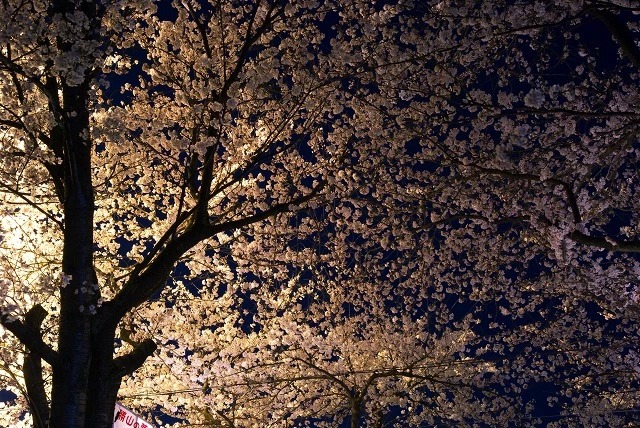 5_image