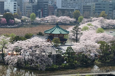 Ueno Park