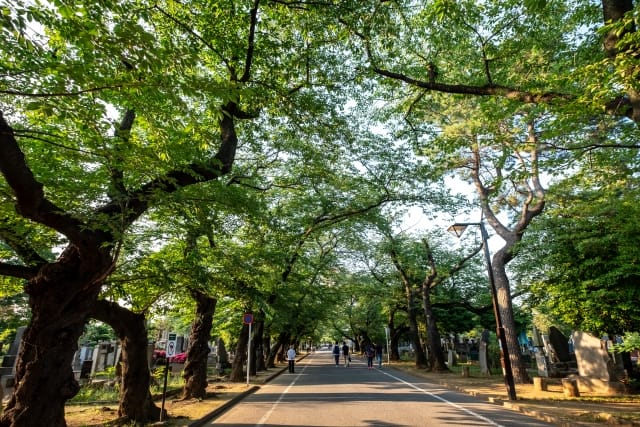 Yanaka Cemetery