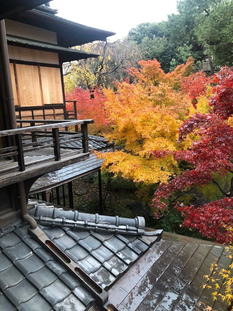 Yanaka Yasuda Garden