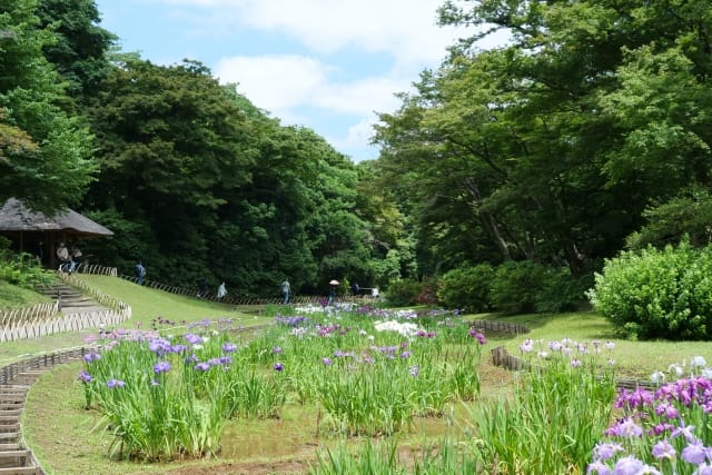 Meiji Jingu Gyoen