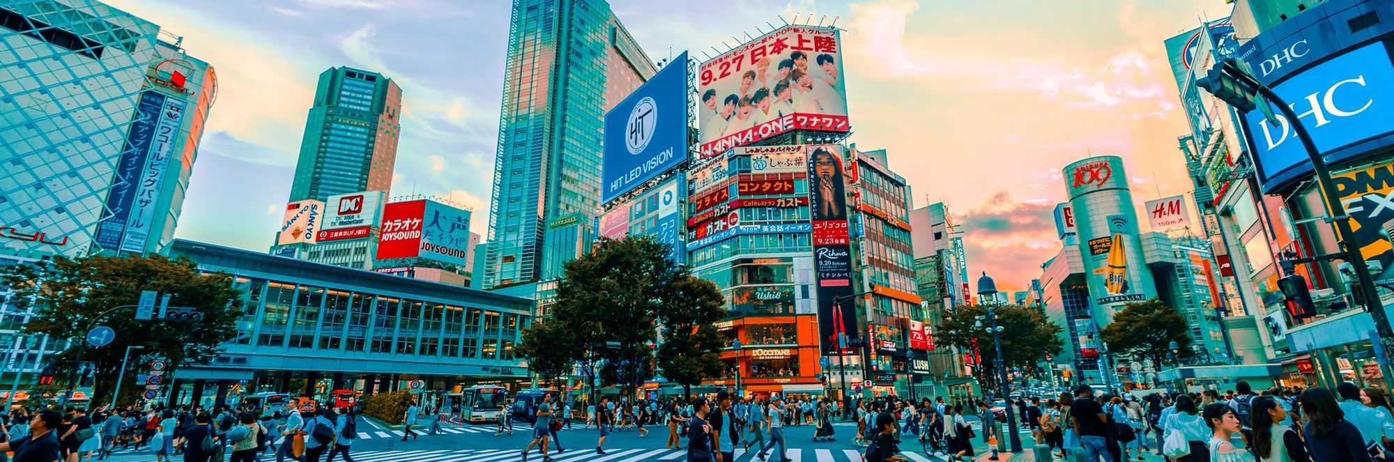 Shibuya Free Walking Tour