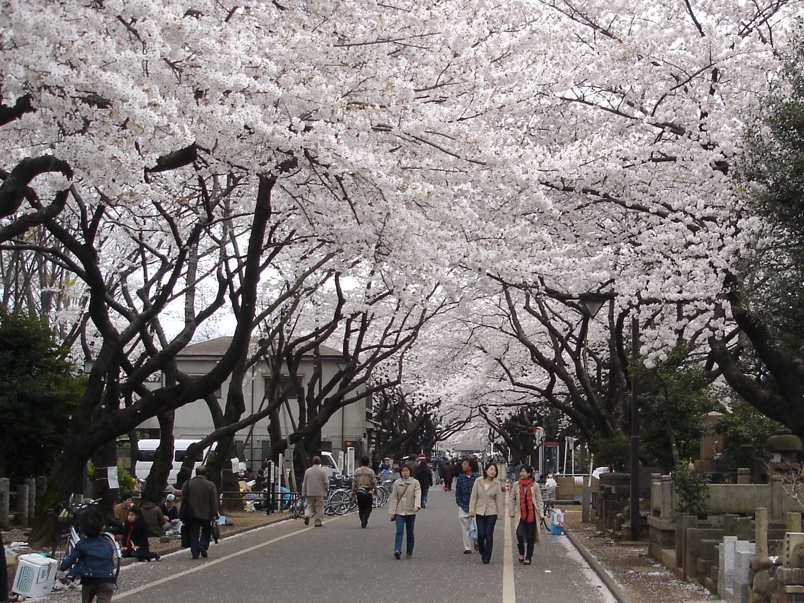 Yanaka Cemetery