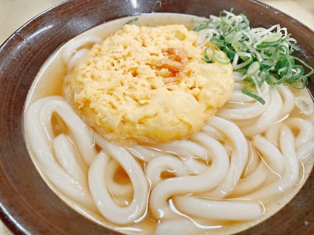 Japanese Udon