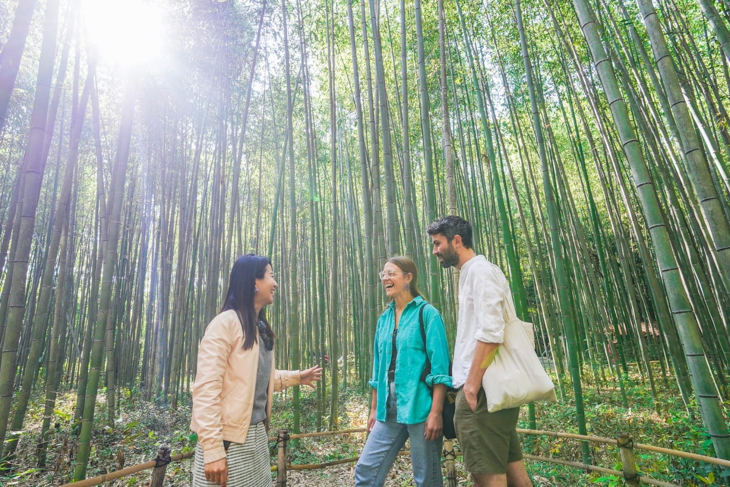 Kyoto Arashiyama Bamboo forest & Garden Half-Day Walking Tour.jpg