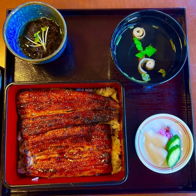 Unagi Food