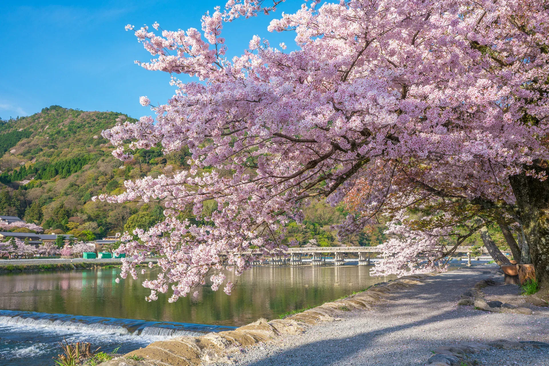 Arashiyama