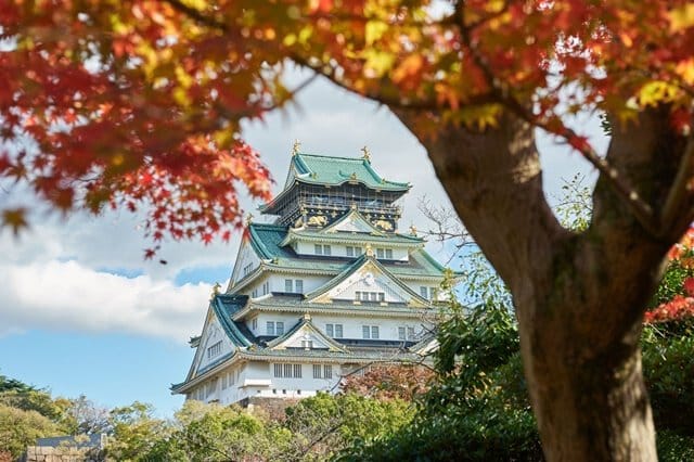 Autumn foliage