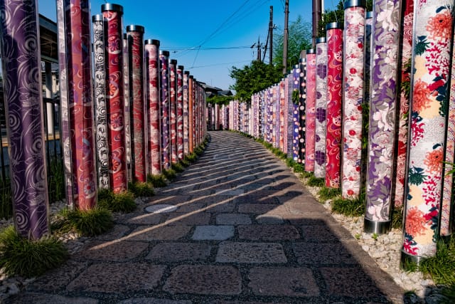 Kimono Forest