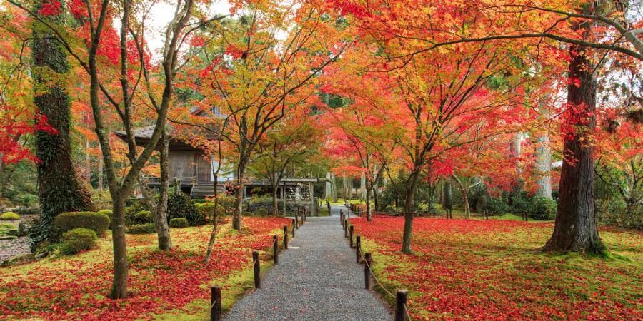 Sanzen-in Temple