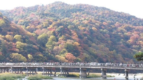 Autumn Arashiyama