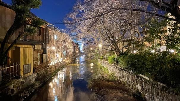 Gion Shirakawa Night Sakura