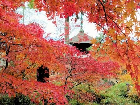 Jojakkoji Temple