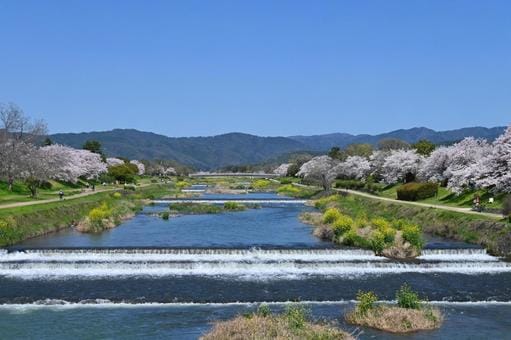 Kamogawa River