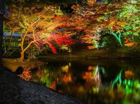 Kodaiji in Autumn