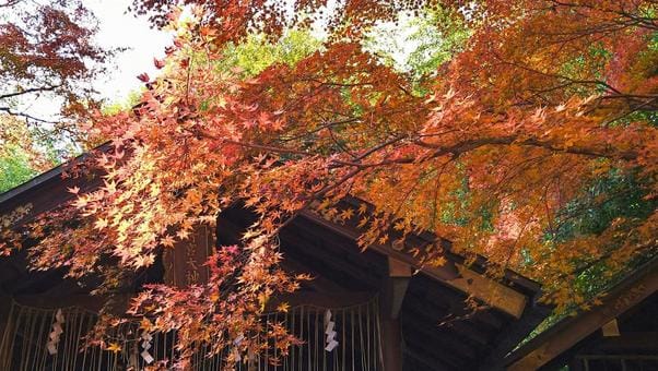 Nonomiya Shrine