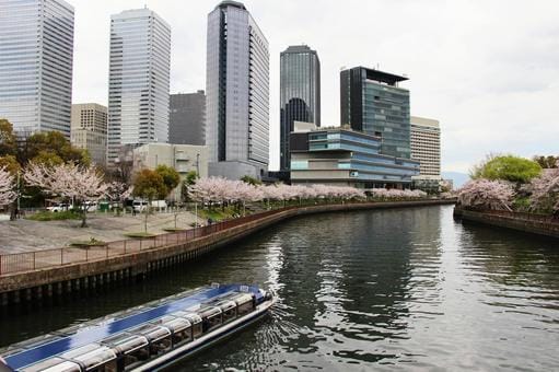 Osaka in Spring