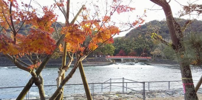 Uji in Fall