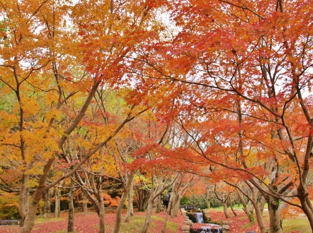 Expo'70 Commemorative Park