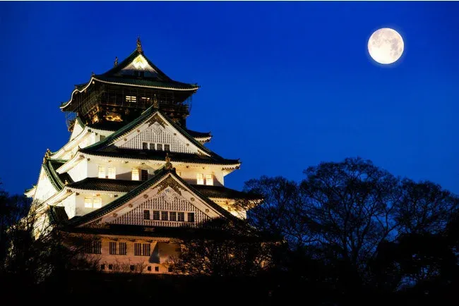 Osaka Castle