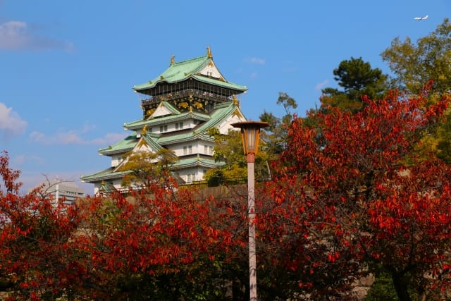 Autumn in Osaka Castle Park