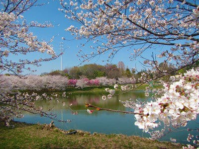 Tsurumi Ryokuchi Park