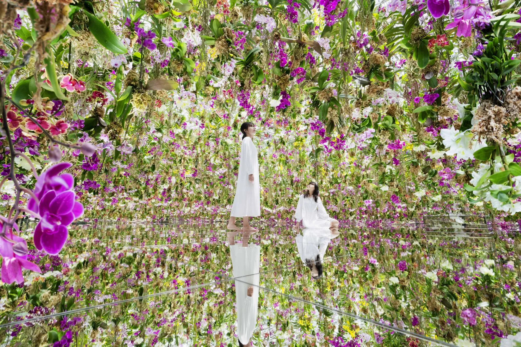 teamLab Planets TOKYO DMM Toyosu