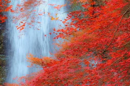 Minoh Waterfall