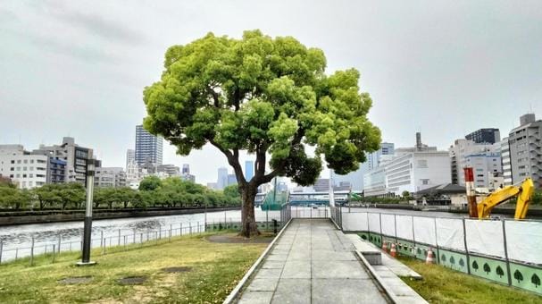 Nakanoshima Park