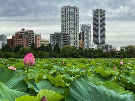 Nature at Ueno
