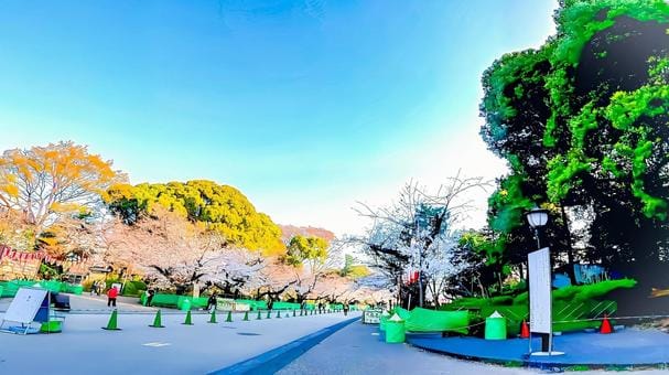Ueno Park 1