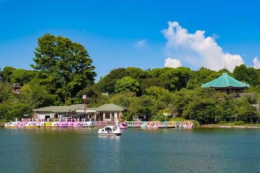 Ueno Park 2