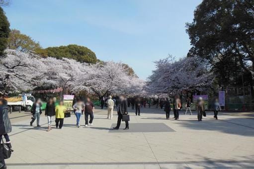 Ueno in Spring