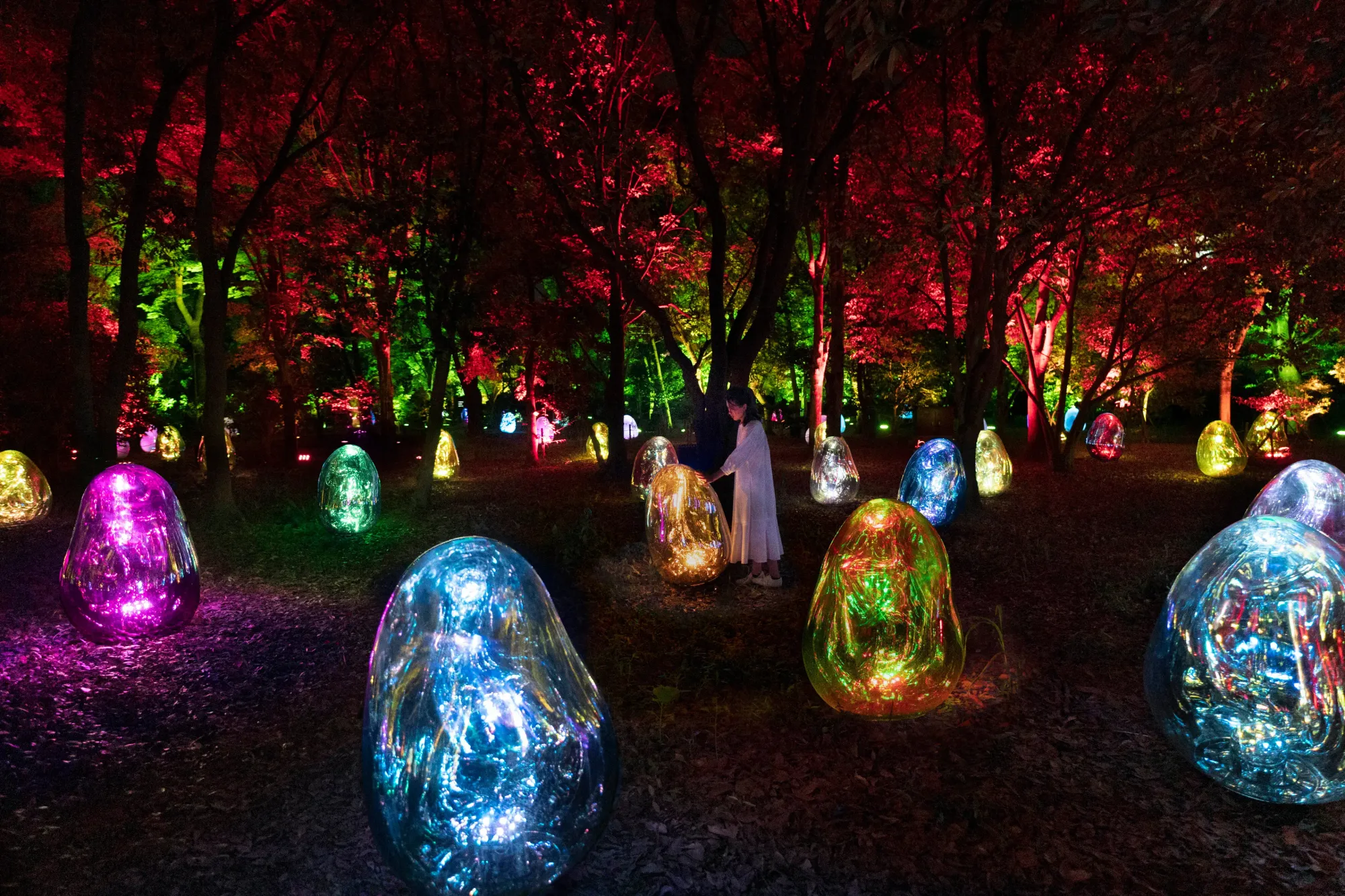 teamLab Botanical Garden Osaka