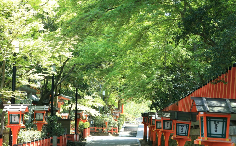 Yasaka Shrine in Summer