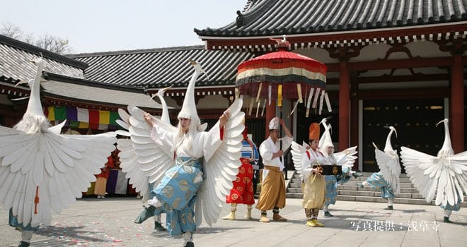 Dance of the White Heron