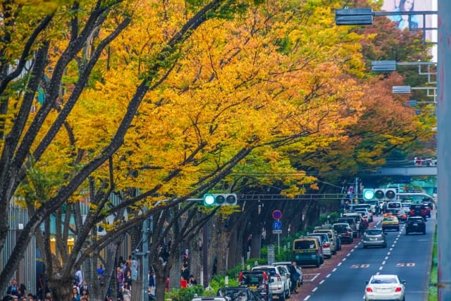 Omotesando