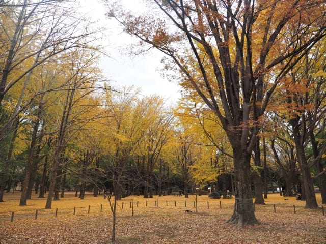 Yoyogi Park