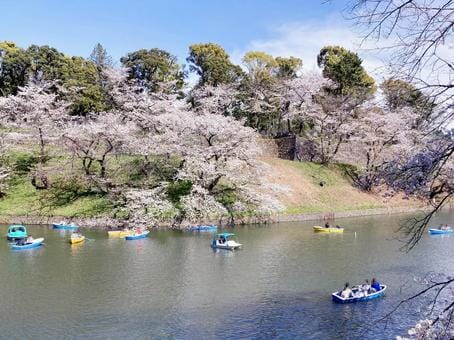 Chidorigafuchi
