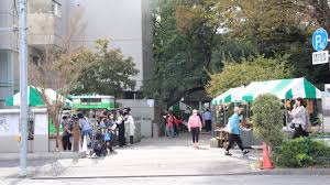 Sarugaku Matsuri
