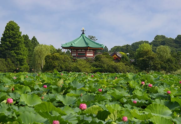 The Shinobazu Pond Bentendo