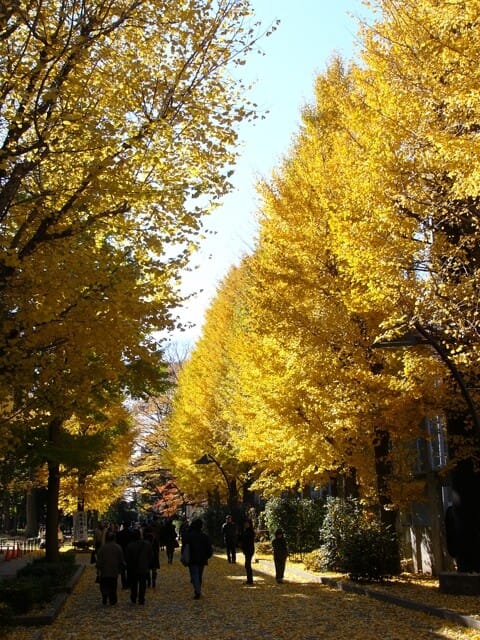 Ueno Onshi Park
