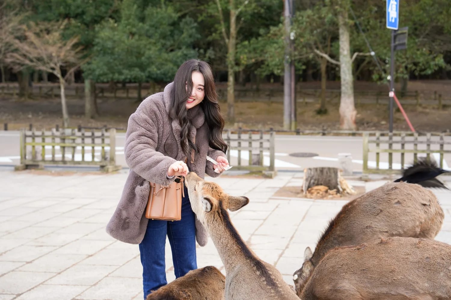 nara day trip