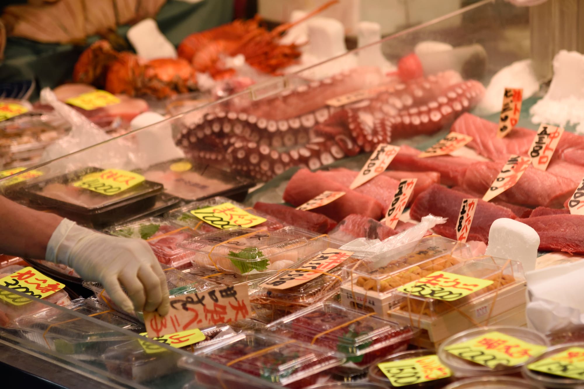 tsukiji tour
